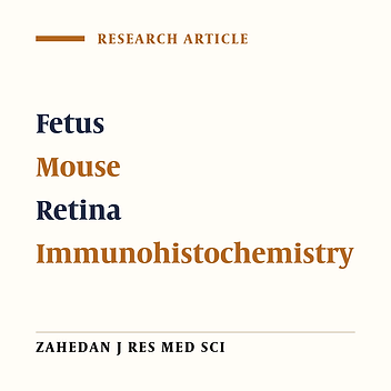 Study of Elaeagnus angustifolia Fruit Aqueous Extract on the Histomorphometrical Changes of Retina in Mouse Embryo