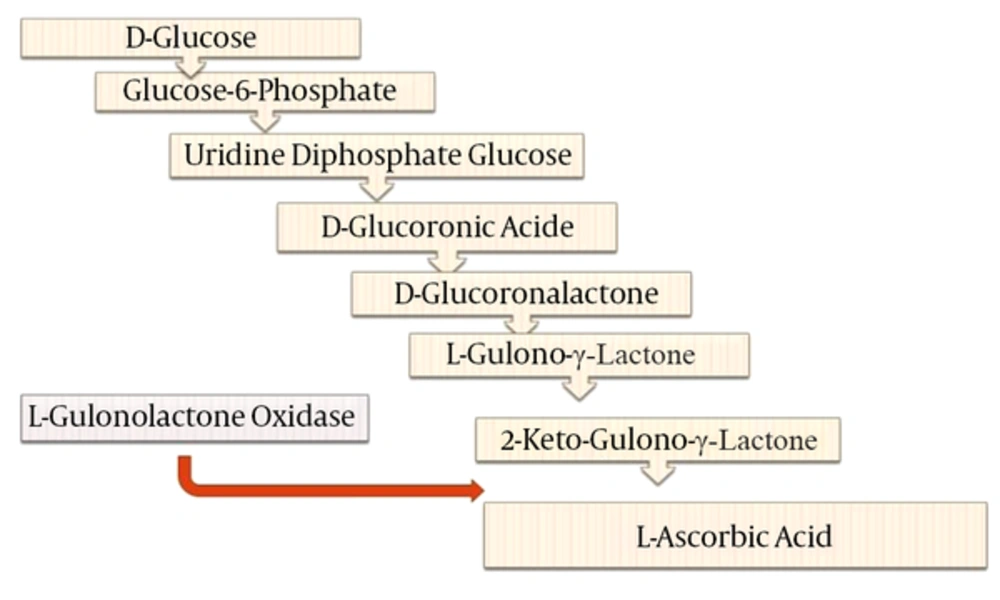Biosynthesis Process of Vitamin C in Mammalian (For More Information see Linster and Van Schaftingen 2007) Biosynthesis Process of Vitamin C in Mammalian (For More Information see Linster and Van Schaftingen 2007)