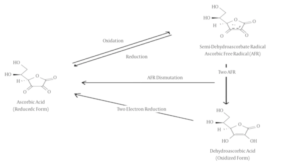 glutathione regenerates vitamin c e An Overview of the Characteristics and Function of Vitamin C in Various  Tissues: Relying on its Antioxidant Function