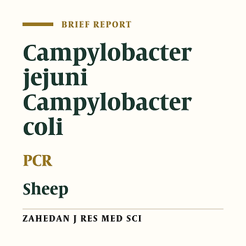 Prevalence of Campylobacter Jejuni and Coli in Sheep Carcasses by Using Cultural and PCR Methods