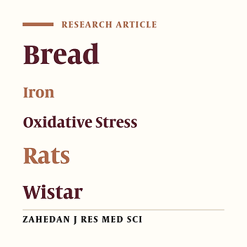 Effect of Iron Enriched Bread Intake on the Oxidative Stress Indices in Male Wistar Rats