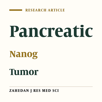 Comparison of Oct4, Sox2 and Nanog Expression in Pancreatic Cancer Cell Lines and Human Pancreatic Tumor