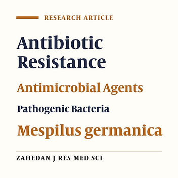 The Comparison Among Antibacterial Activity of Mespilus germanica Extracts and Number of Common Therapeutic Antibiotics “In Vitro”
