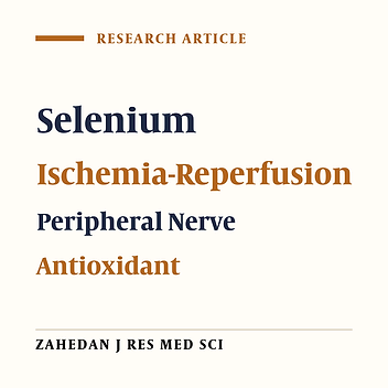 Effects of Selenium on Antioxidant Activity and Recovery From Sciatic Nerve Ischemia–Reperfusion in Adult Rats