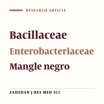 In Vitro Study of Antibacterial Activity of Mangle negro Extracts Against Selected Pathogens From Enterobacteriaceae and Bacillaceae Families