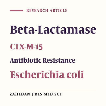 CTX-M-15 Type β-lactamases From Clinical Isolates of Escherichia coli by Polymerase Chain Reaction and DNA Sequencing