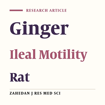 The Effect of Ginger Hydroalcholic Extract on Rat Ileal Contraction in Vitro