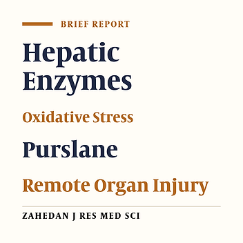 Effects of Aqueous Extract of Purslane (Portulaca oleracea) on Hepatic Enzymes in Two Models of Renal Ischemia-Reperfusion Injury in Rats