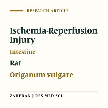 Effect of Pretreatment With Extract of Origanum vulgare Leaves on Experimental Intestinal Ischemia-Reperfusion Injury in Rats