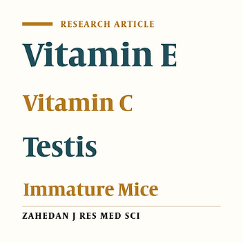 Effects of Vitamins E and C on Freezed-Thawed Immature Mice Testis