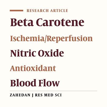 Beta Carotene Modulates Nitric Oxide Production in the Renal Ischemia/Reperfusion Injury in Rat