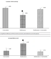 Useful Effects of Curcumin Supplementation on Gastric Superoxide Dismutase Activity and Serum Malondialdehyde Level During Endurance Training in Male Wistar Rats