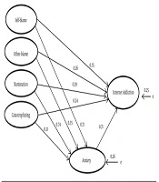 Structural Relationships Between Negative Cognitive Emotion Regulation Strategies and Symptoms of Internet Addiction: Mediating Role of Anxiety