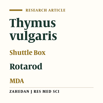 Evaluation of Thymus vulgaris Extract on Hippocampal Injury Induced by Transient Global Cerebral Ischemia and Reperfusion in Rat