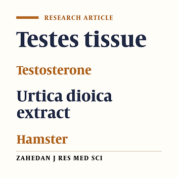 Effect of Urtica Dioica Extract on Histological and Histometrical Changes of Testis of Hamster after Testosteron Administration