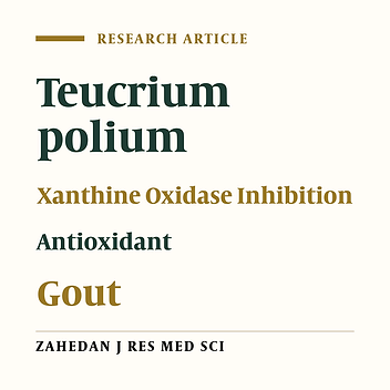Inhibition Effects of Teucrium Polium Extract on Gout