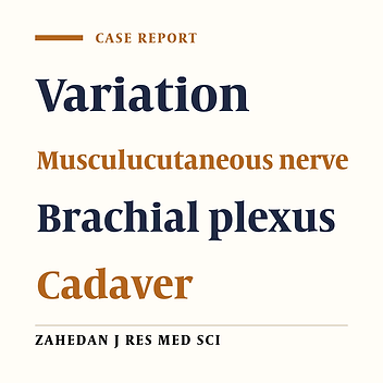 A Rare Anatomical Variation of the Brachial Plexus Characterized by the Absence of the Musculocutaneous Nerve