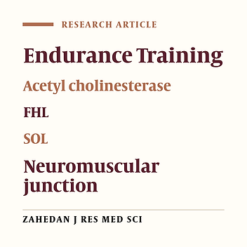 Effects of Endurance Training on A12 Acetyl Cholinesterase Activity in Fast and Slow-Twitch Skeletal Muscles of Male Wistar Rats