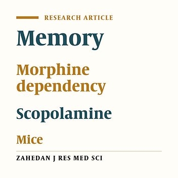 Effect of Memory Attenuation on Creating Morphine Dependency in Male Mature Mice
