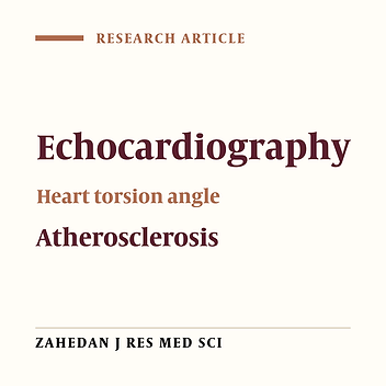 Assessment of Left Ventricular Torsion in Short Axis View between Healthy Subjects and Significant Coronary Artery Disease Patients