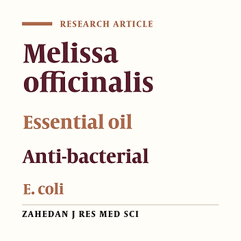 Investigation between Alcoholic Extract and Essential Oil Melissa Officinalis L. New in Growth Inhibition of E. coli