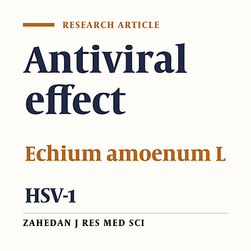 Antiviral Effect Assay of Aqueous Extract of Echium Amoenum-L against HSV-1