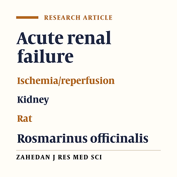 The Study of the Effects of Post Treatment with Rosmarinus Officinalis Aqueous Extract the First 48 Hours after Renal Ischemia/Reperfusion in Rats