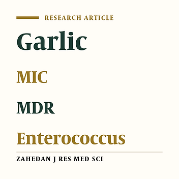 In Vitro Antibacterial Properties of Aqueous Garlic Extract (AEG) Against Multidrug-Resistant Enterococci