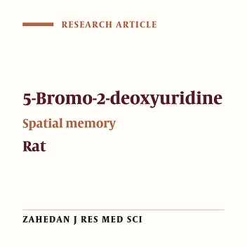 Effects of Chronic 5-Bromo-2-Deoxyuridine Administration on Spatial Memory in the Adult Rats