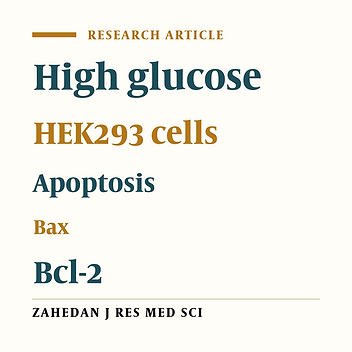 Role of Bax Protein and Caspase-3 at High Glucose-Induced Apoptosis in Human Embryonic Kidney (HEK) 293 Cells