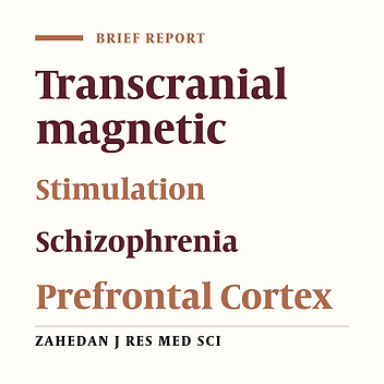 The Application of Theta Burst Stimulation in Negative Symptoms of Patients with Schizophrenia