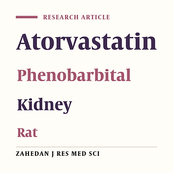 Pathological Evaluation of Phenobarbital and Atorvastatin Co-Administration on Kidney of Rat