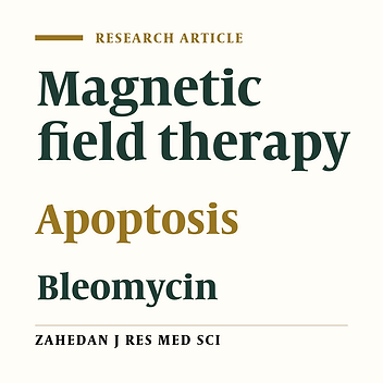 The Effect of 217 Hz Magnetic Field of Cell Phone with Different Intensities on Apoptosis of Normal and Cancerous Cells Treated with Chemotherapy Drug