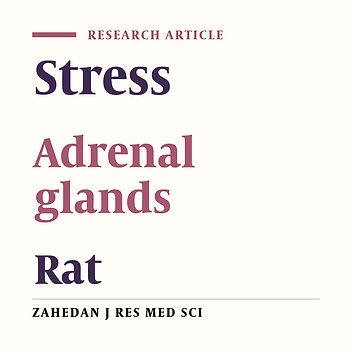 Effects of cold water swim stress on volumetric parameters of adrenal gland in rats