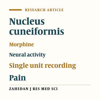 Effect of subcutaneous injection of morphine on activity of neurons in the nucleus cuneiformis of rat