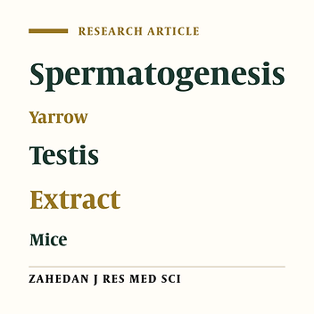 Evaluation of Antispermatogenic Effects of Yarrow in Mice
