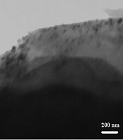 Cytotoxic Effects of Combined Walnut Shell-Extracted Copper Oxide: Nanoparticles and Hydroalcoholic Extracts of Aloe vera Against Human Leukemic Cell Line