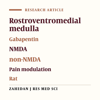 Role of glutaminergic receptors in the rostral ventromedial medulla on antinociceptive effect of gabapentin in rat