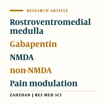 Role of glutaminergic receptors in the rostral ventromedial medulla on antinociceptive effect of gabapentin in rat