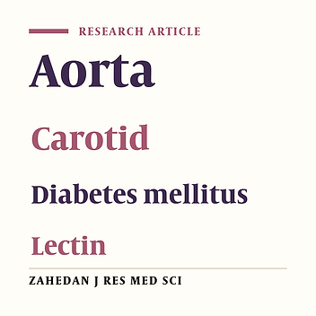 Histochemical study of structural changes of carotid wall arteries in male diabetic rats