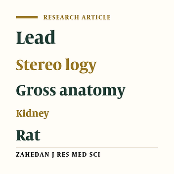 Analysis of Gross Anatomical Parameters of Kidney in Male Rats Following Lead Poisoning by Using a Stereological Method