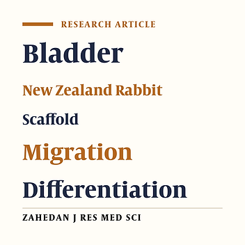 Differentiation of Blastema Cells in Decellularized Bladder Scaffold in vitro