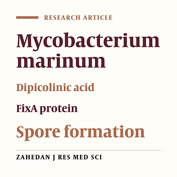 Cloning and Expression of FixA and FixB Genes and Their Role in the Formation of Dipicolinic Acid in Mycobacterium marinum CCUG 20988