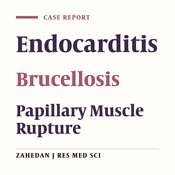 Anterolateral Papillary Muscle Rupture Caused by Brucella Endocarditis