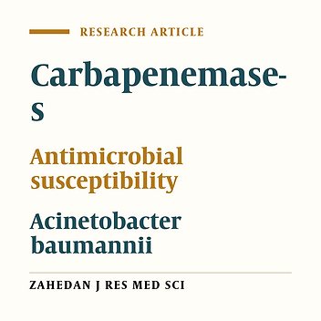 Antimicrobial Profile and Phenotypic Metallo-β-Lactamase Detection of Acinetobacter baumannii Isolated From Clinical and Environmental Specimens